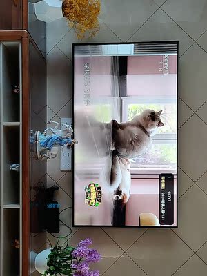 新买的索尼电视怎样看真伪，网上买的有假的吗？