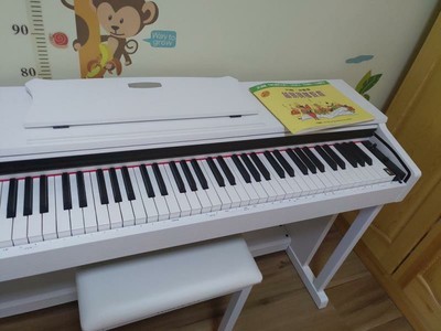 评测点评大家评测德国布鲁诺钢琴怎么样，这个是一线品牌吗？