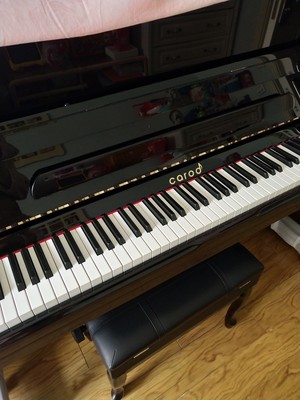 专业点评：博兰德钢琴怎么样？适合刚学琴的小朋友呢？