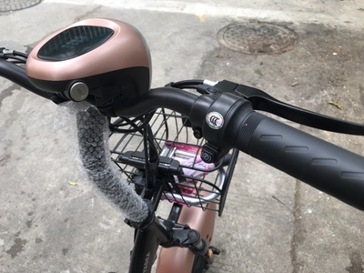 凤凰电动车质量怎么样?好用吗,不看这里都被忽悠了!