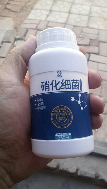 新品牌硝化细菌推广价零售2.5元一瓶