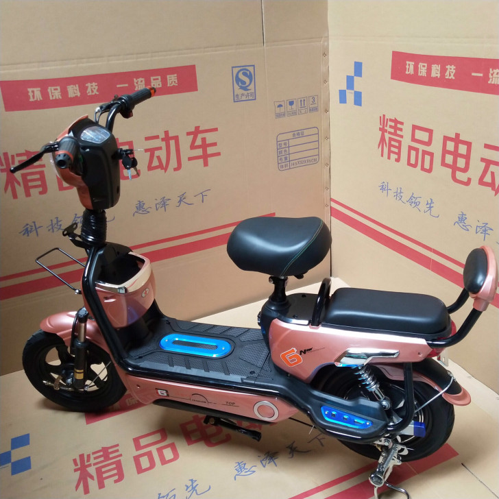 两轮骏马电动车车电瓶车48v