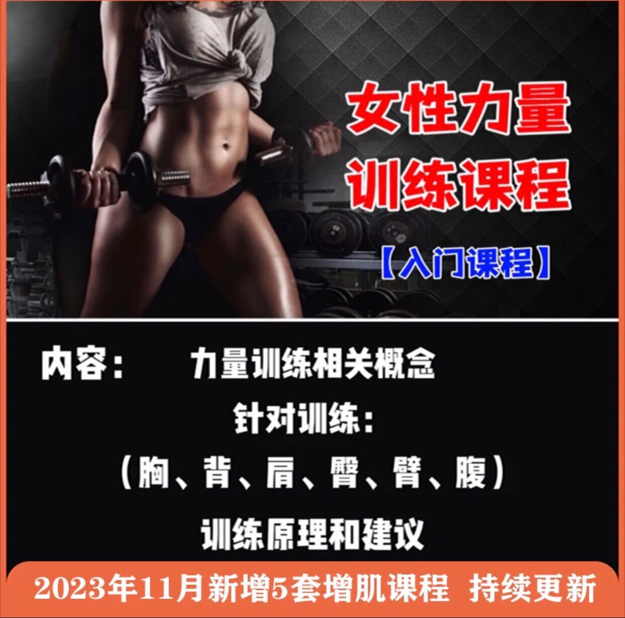 女性女士力量健身视频教程健美训练增肌塑形减肥减脂瘦肚私教培训