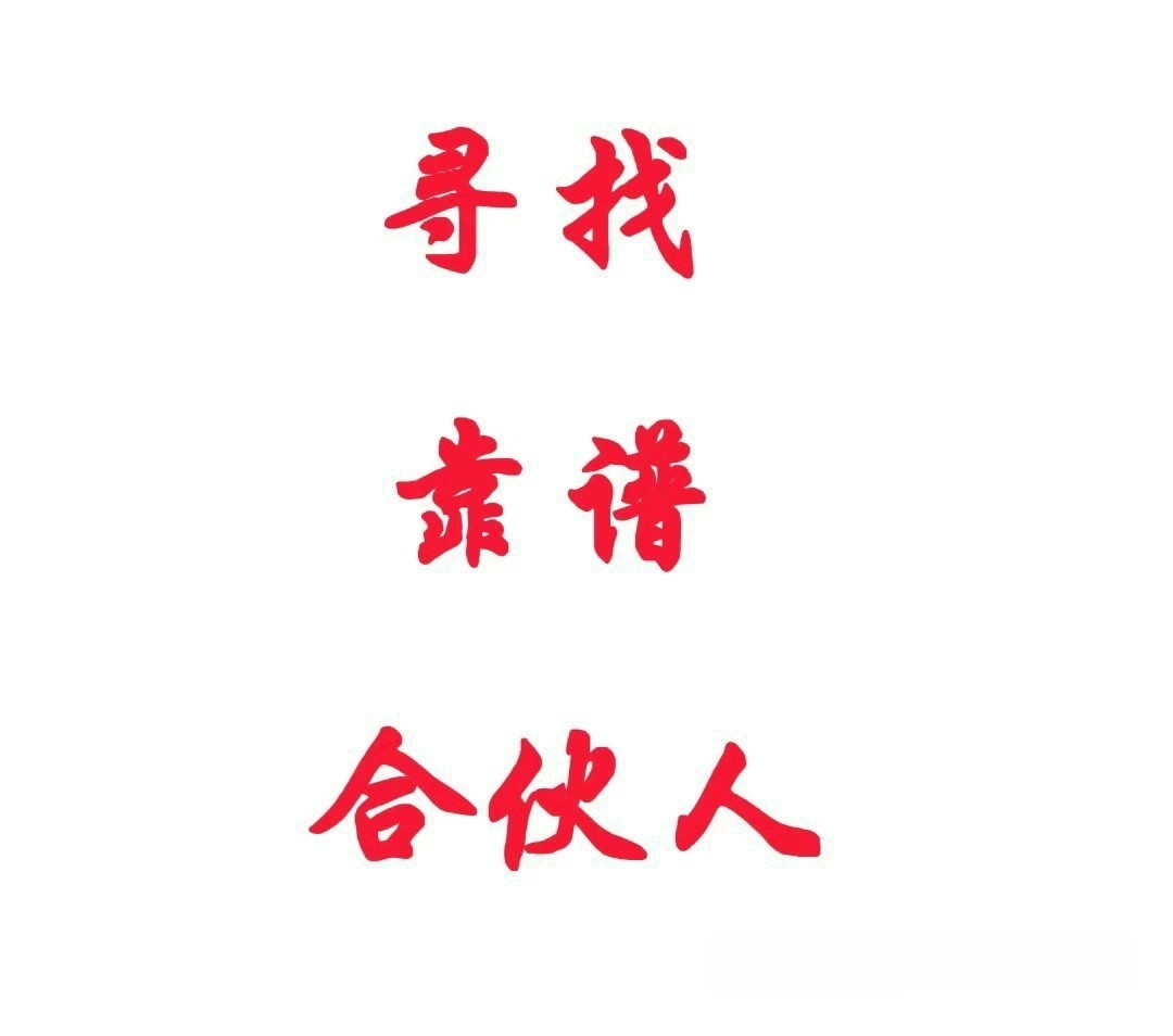 我出项目，你出人，找合伙人，一起创业，共同发展 寻找合伙人一