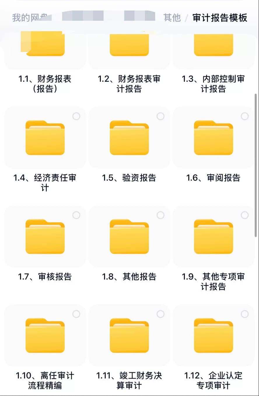 审计报告模板合集，财务报表、审计、验资、审核、专项审计等分类