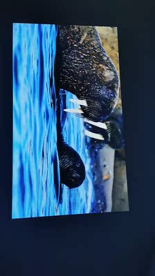 说说：极米Z6和Z6X投影仪哪个好？这两个型号对比使用好不好