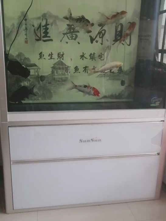 鱼缸