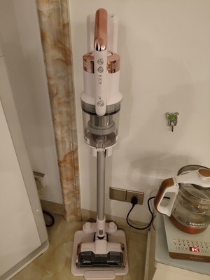 谁来详细分析戴森吸尘器好在哪里?使用三个月彻底后悔