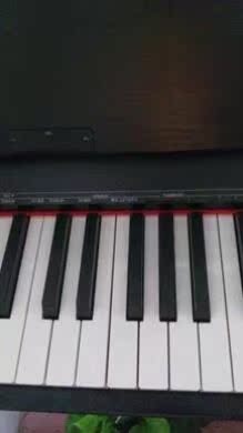 评测点评大家评测德国布鲁诺钢琴怎么样，这个是一线品牌吗？