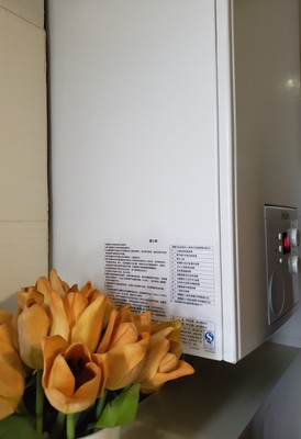 内幕真相分析林内24C33燃气壁挂炉怎么样，好不好用？