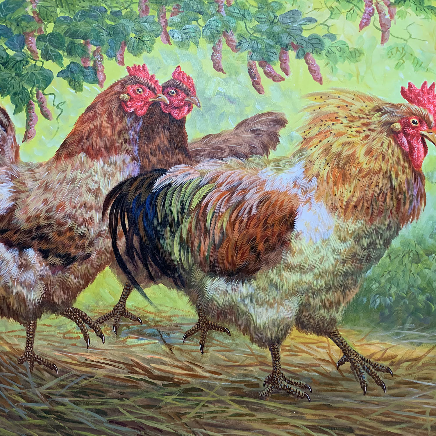 朝鲜画 韩成哲《鸡》平壤美术大学 小芃画廊 动物l