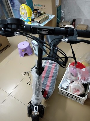 详解凤凰电动车好还是正步电动车好?配置参考区别是？?