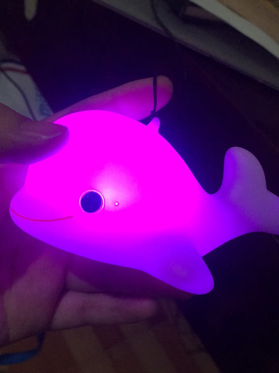 小海豚变色灯上海某景区买的当时完了一下闲置