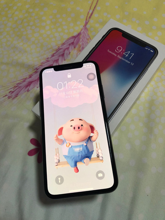 出一个苹果X，国行正品iphoneX,64G，价格3500，