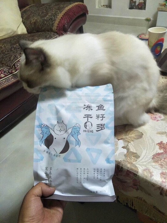 小鱼干冻干多春鱼多籽鱼宠物猫咪零食，全新未拆封。100g，4