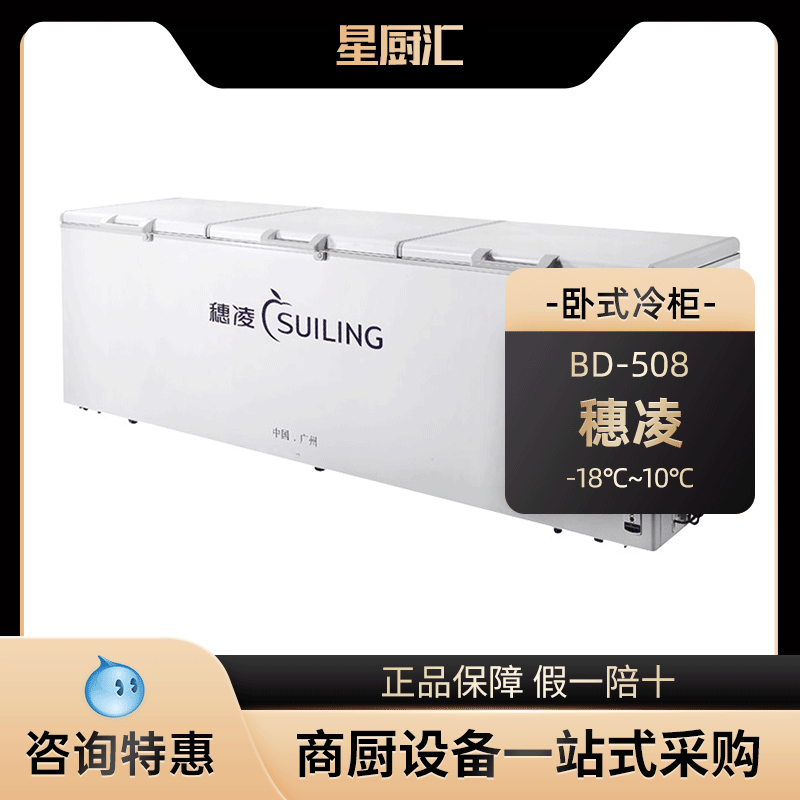 BD-508商用大冰柜卧式冷藏冷冻柜大容量冷柜雪柜急冻柜冰箱