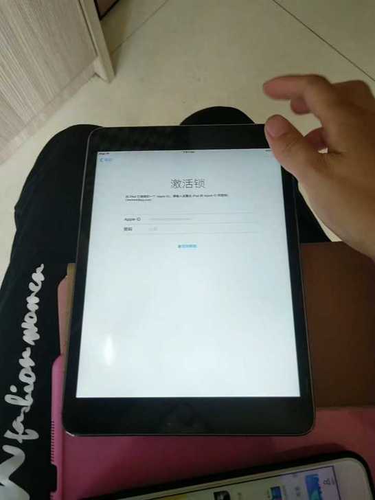 IPADmini1