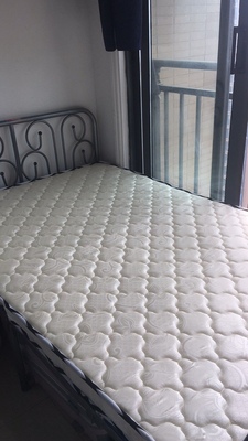 我的真实感受维莎椰棕垫怎么样?好不好用?