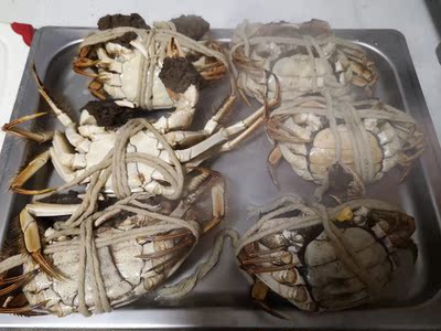 还原真相:松下NB-HM3810电烤箱怎么样?内幕测评真的好吗？