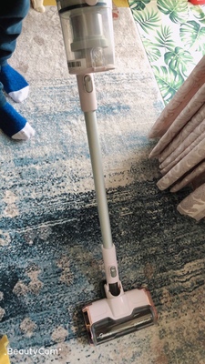 戴森v8吸尘器能除螨吗?能吸长头发吗?实店体比网上贵很多