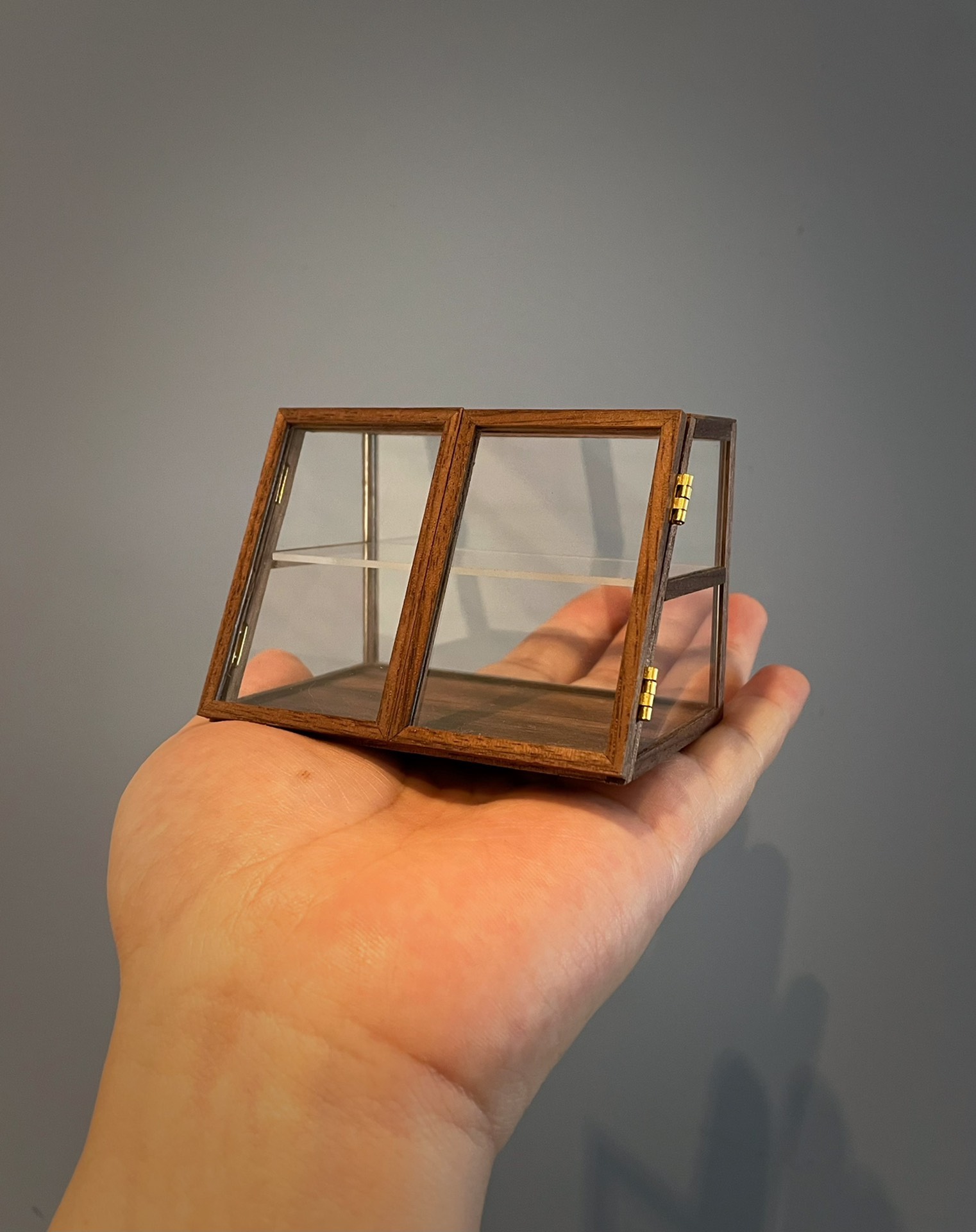 Vue de face de la vitrine miniature