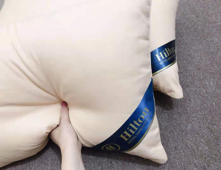 【一对装】希尔顿酒店专用枕