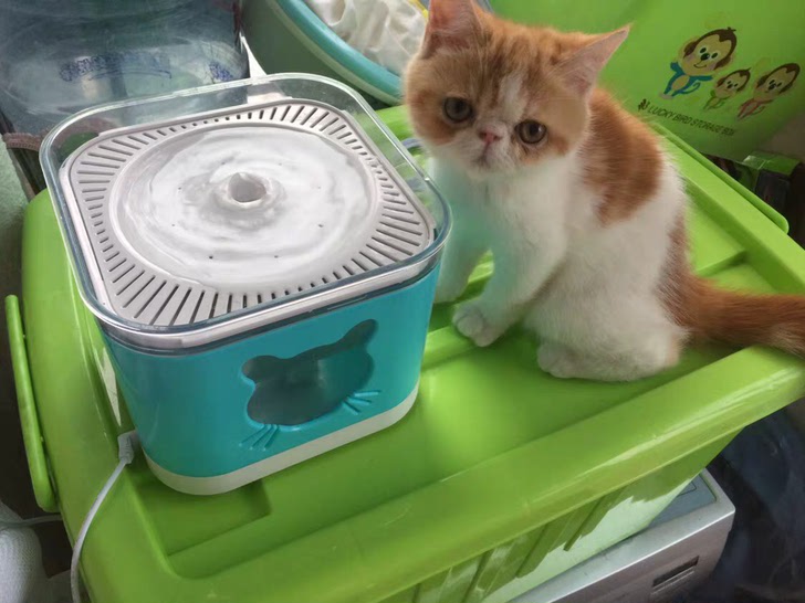 风宠新款宠物智能饮水机三代猫咪自动循环喝水器猫狗狗用品喂水器