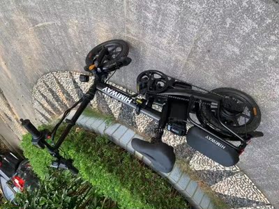 FIIDO亲子电动车怎么样好不好？优劣分析？一个月真实反馈