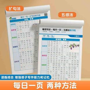 小学一二三年级扩句法练习纸四五六年级五感法练习纸通用