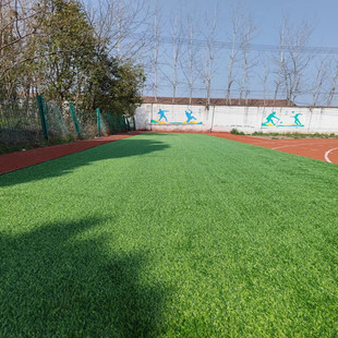 仿真草坪地毯人造装饰户外绿塑料铺垫围挡足球场幼儿园人工假草皮