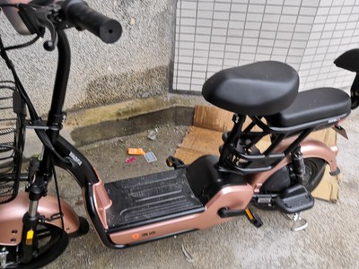 【入手说说】阿尔郎电动车怎么样，电池真的有那么耐用吗