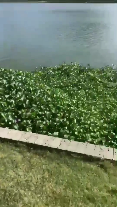 三生三世十里桃花拍摄基地包租的海景别墅