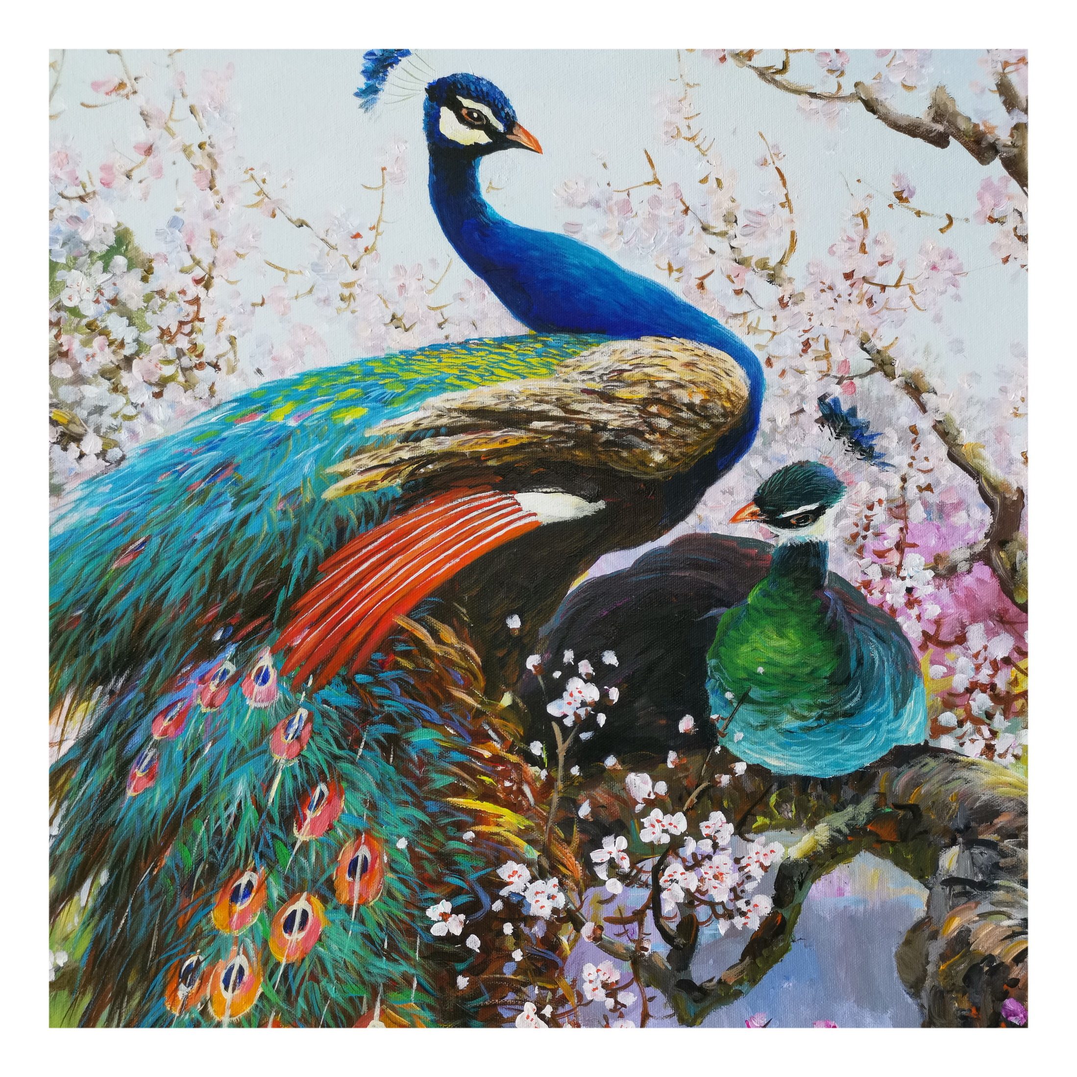 视频看货 朝鲜画 功勋艺术家姜正哲《孔雀》白虎创作社