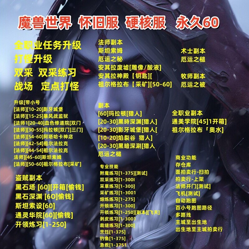 魔兽世界脚本辅助怀旧服硬核服正式服私服发支持一到满级任务升级
