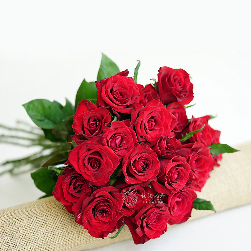 12/8【免保参拍】包邮限量1束云南a级红色玫瑰传奇10支