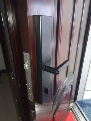 真实使用感受德施曼指纹锁T82、T11、T86哪个型号好,参数有什么区别吗?