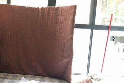 如何评价龙凤床垫怎么样，质量好吗？是一线品牌吗？【点评】