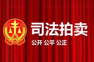 登封市人民法院_司法拍卖拍品名单-阿里资产