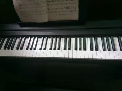 有人知道这家知音乐器专营店怎么样,他们的钢琴靠谱吗?