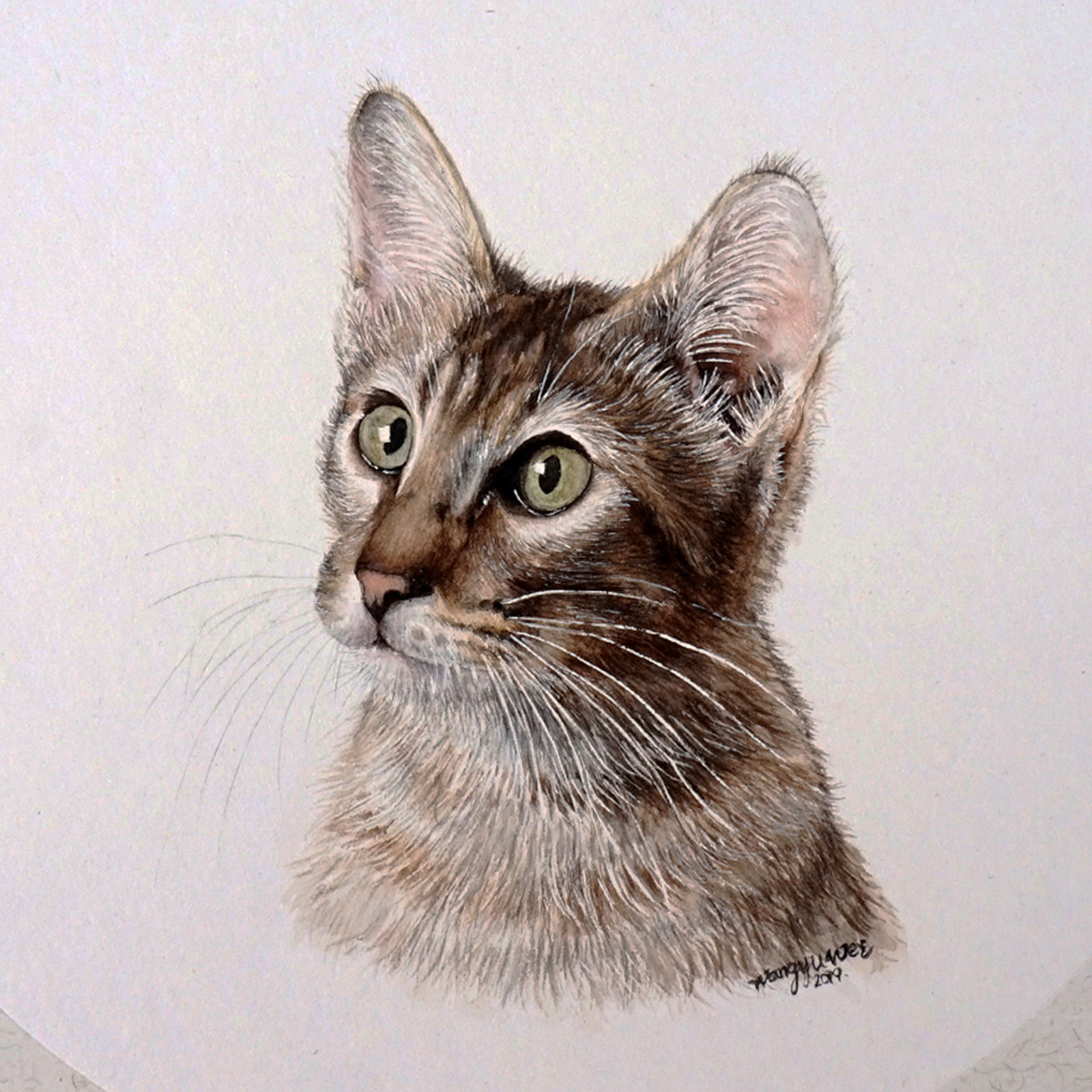 青年女画家王玉伟水彩小品《猫咪》装饰精品