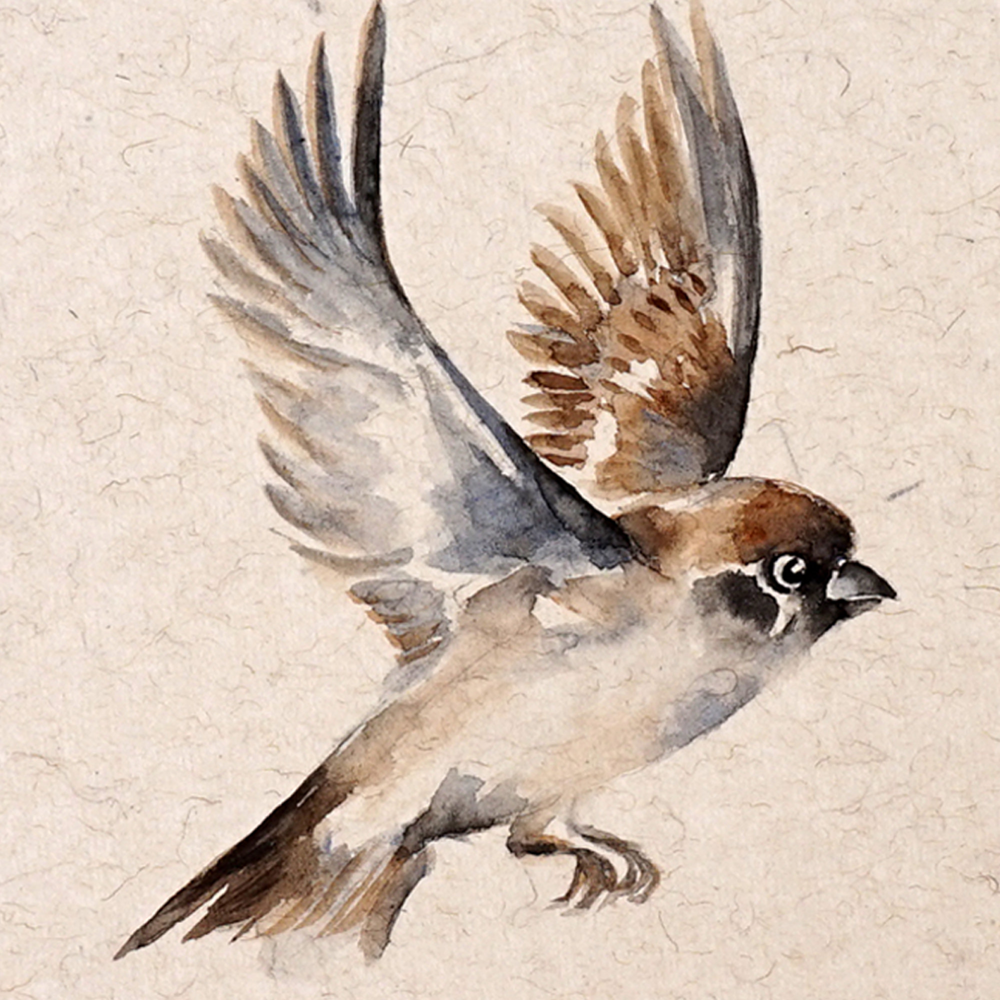 送装裱王玉伟《麻雀》纸本水彩