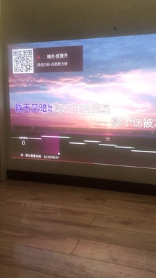 分别说说极米Play和极米Play特别版哪个好？求使用参考！
