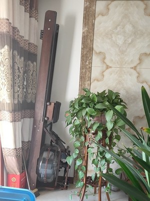 专业评测欧宝龙水阻划船机怎么样?说说到底好不好用?