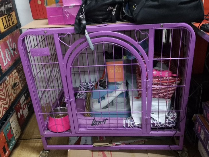 狗笼子，自己家狗狗在店里用的，以后不打算往店里带，狗笼子闲置
