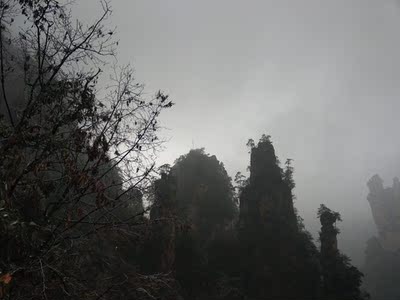 荣耀智慧屏买哪个版本比较好呢，大家推荐一个好的！