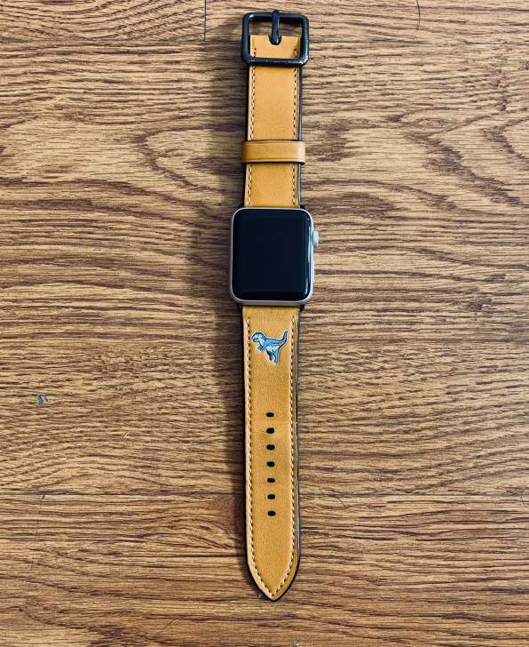 AppleWatch第三代蜂窝数据版本42mm