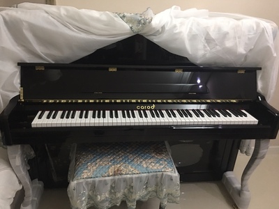 真实质量反馈Palatino帕拉天奴钢琴怎么样？评价好吗？