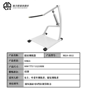 立式举肩训练器肩部肌肉训练器力量器械商用健身房提肩健身器材