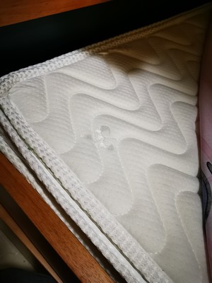 使用一年了点评下SW乳胶床垫怎么样？很多人被骗了？