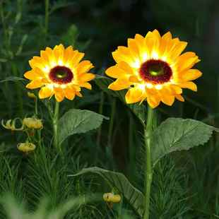 太阳能庭院花灯向日葵院子布置花园插地灯景观草坪装饰户外防水灯